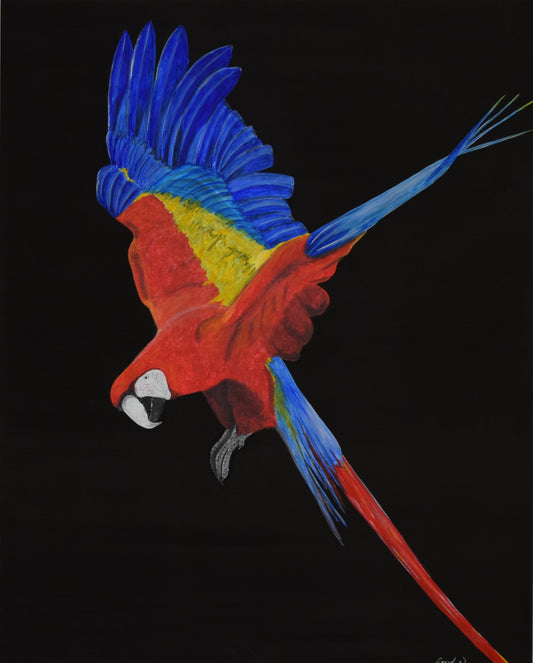 Parrot (80x100cm)