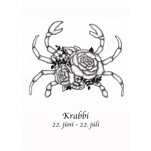 Krabbi - B (A4)