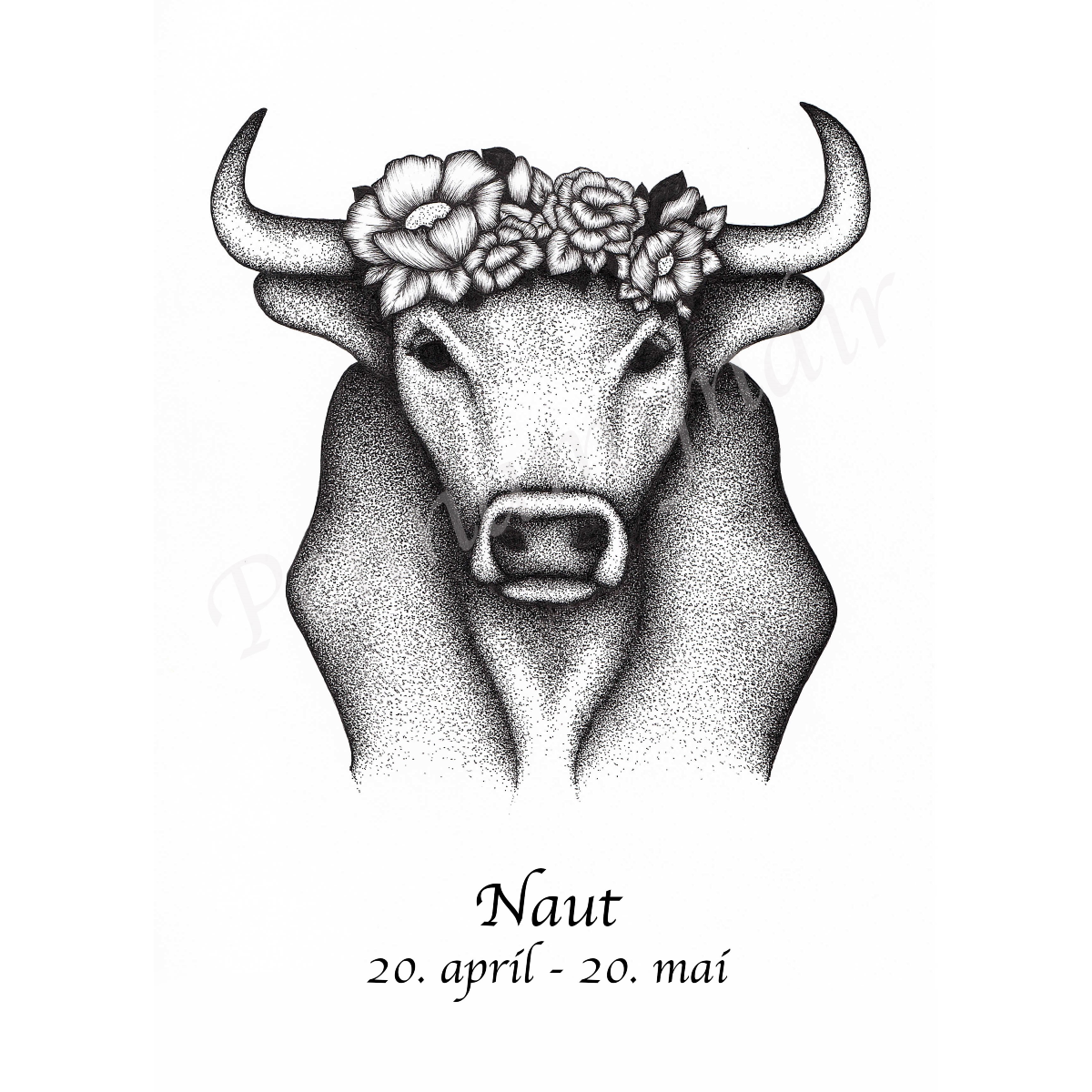 Naut - A (A4)