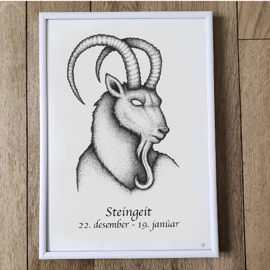 Steingeit - A (A4)